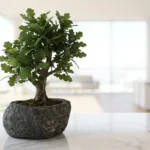 Build a Stable Business Without Chasing Every Trend